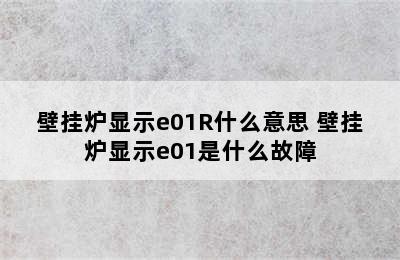 壁挂炉显示e01R什么意思 壁挂炉显示e01是什么故障